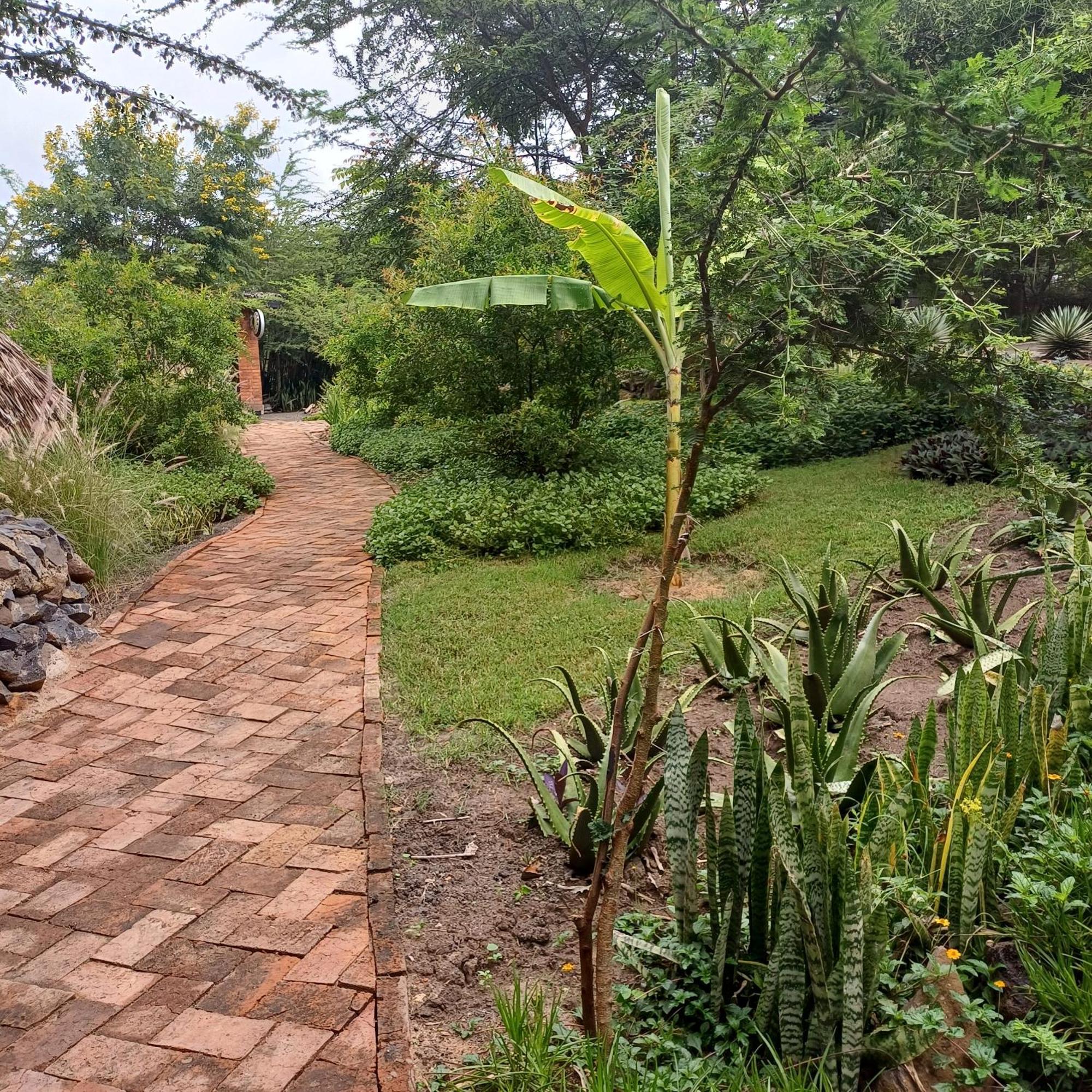 Kutoka Lodge Arusha Luaran gambar